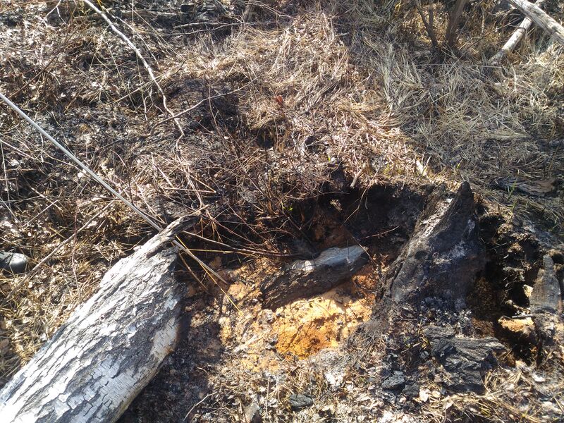 Файл:20190413 112230.jpg
