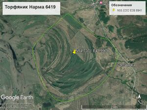Торфяник Нарма 6419.jpg