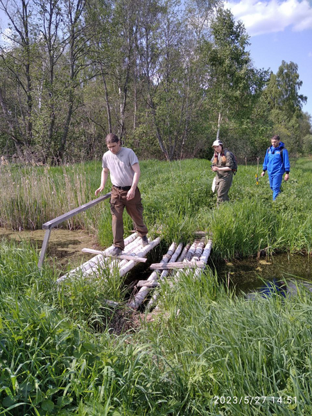 Файл:Image 2024-05-15 18-41-43.png