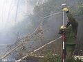 Миниатюра для версии от 11:34, 16 июня 2024