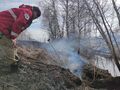 Миниатюра для версии от 12:00, 16 июня 2024