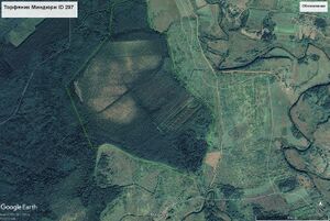 Торфяник Миндюри ID 297.jpg