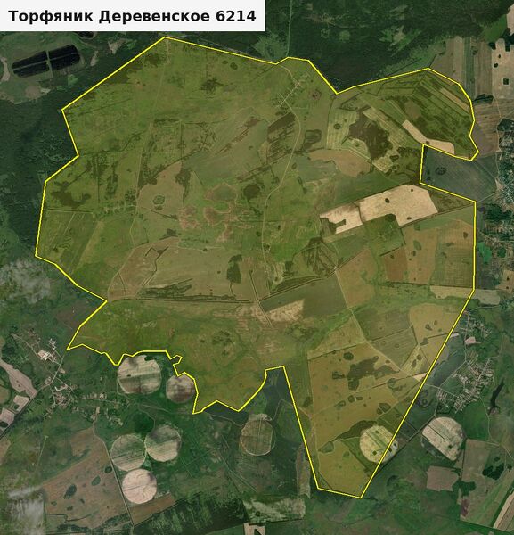 Файл:Торфяник Деревенское 6214.jpg