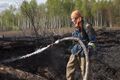 Миниатюра для версии от 17:22, 6 июля 2024