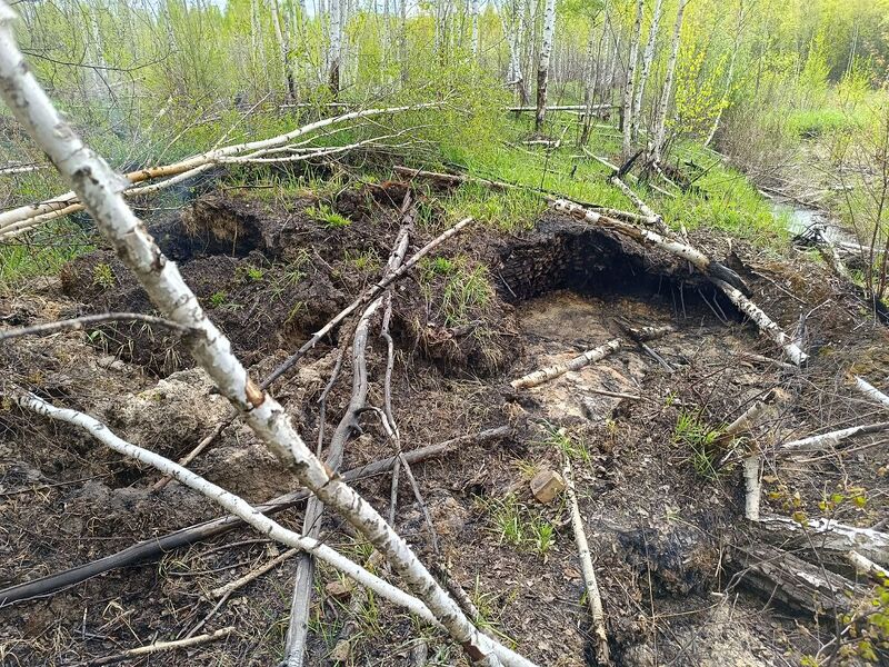 Файл:Photo 2025-05-11 09-53-20.jpg