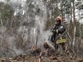Миниатюра для версии от 19:43, 14 июня 2024