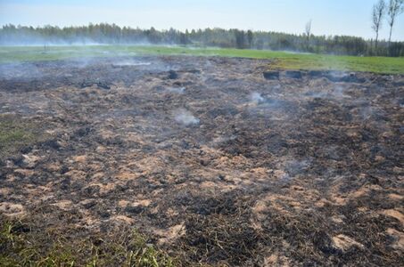 Банный остров 2019 2.jpg