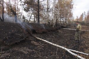 Очаги тления в лесной части Фото Марии Васильевой.jpg