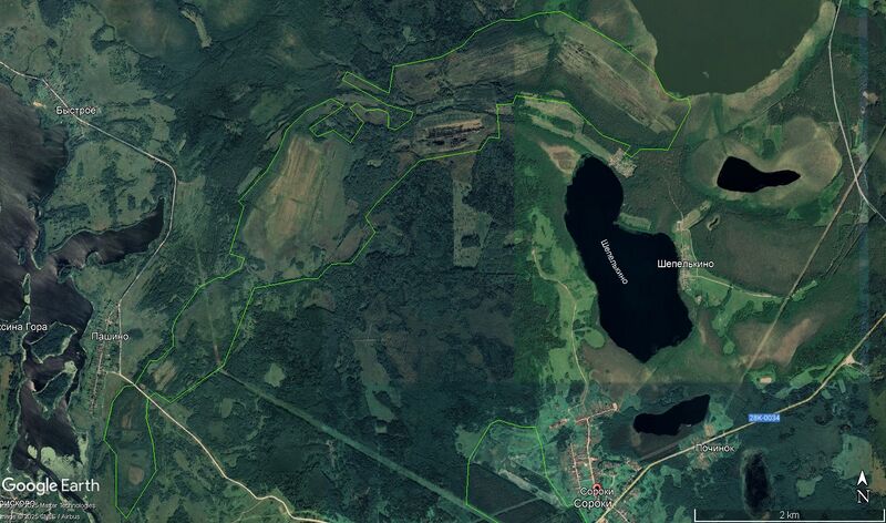 Файл:Торфяник Сороки 469.jpg