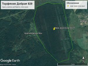 Торфяник Добрая 829.jpg