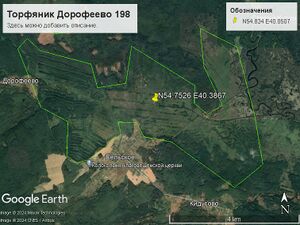 Торфяник Дорофеево 198.jpg