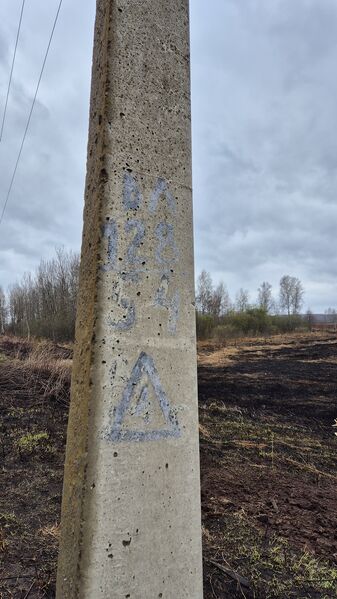 Файл:20260426 105046.jpg