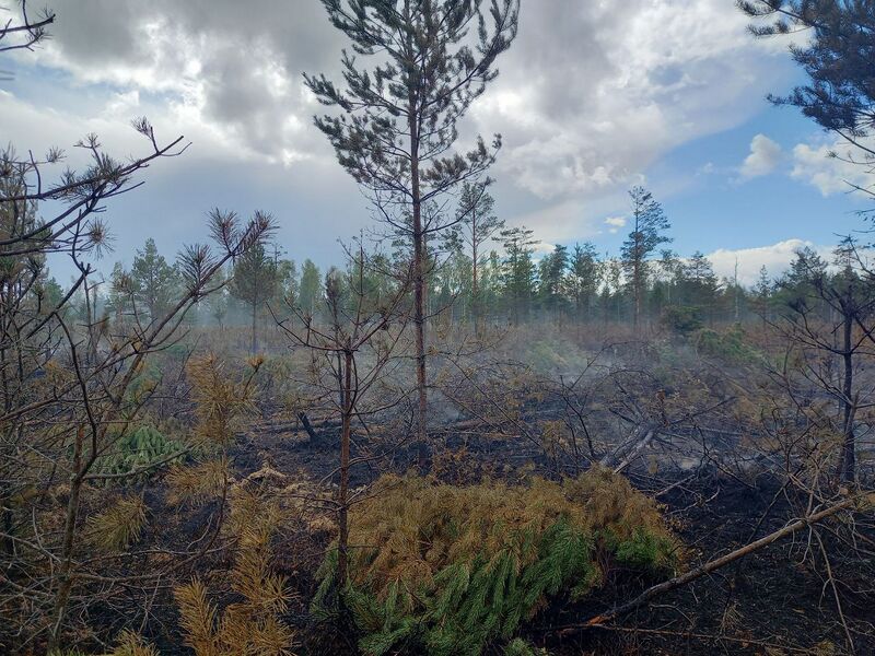 Файл:Photo 20@03-09-2022 19-30-50.jpg