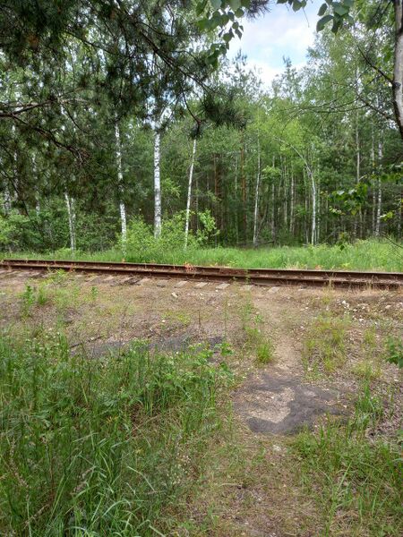 Файл:Photo 7@13-06-2025 16-50-48.jpg