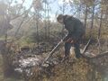 Миниатюра для версии от 10:51, 16 июня 2024