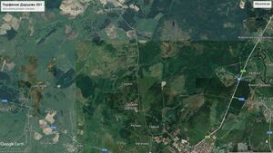 Торфяник Дарцово 201 Google Earth.jpg