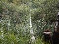 Миниатюра для версии от 12:33, 20 июня 2024