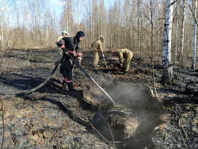 Тушение очагов Замощье 794 2020-май-1-2.jpg