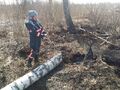 Миниатюра для версии от 13:06, 20 июня 2024