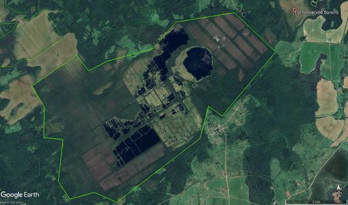 Торфяник Гостиловское651.jpg