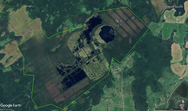 Файл:Торфяник Гостиловское651.jpg