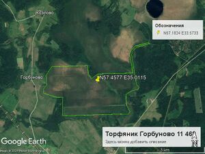 Торфяник Горбуново 11 468.jpg
