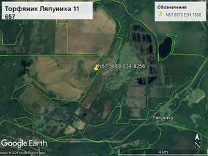 Торфяник Ляпухина 11 657.jpg