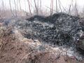 Миниатюра для версии от 21:24, 1 июня 2024