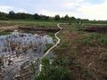 Миниатюра для версии от 11:19, 12 июня 2024