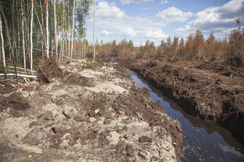 Файл:Вода в канале.jpg