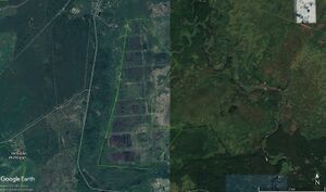 Торфяник Василево 735.jpg