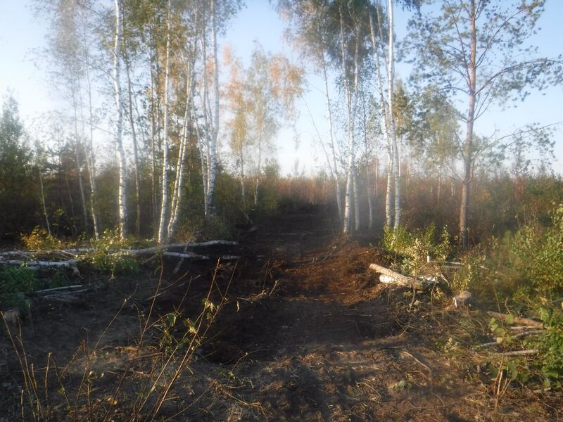 Файл:Photo 2024-09-17 09-47-23.jpg