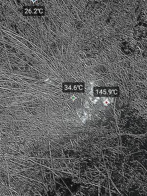 Photo 2 2025-09-21 16-27-10.jpg
