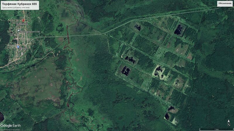 Файл:Торфяник Кубринск 655.jpg