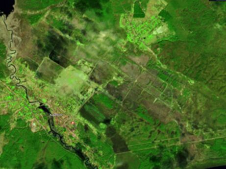 Торфяник Купанское .jpg