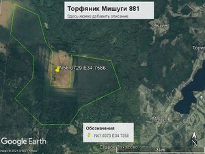 Торфяник Мишуги 881.jpg