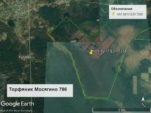 Торфяник Мосягино 786.jpg