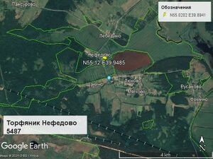 Торфяник Нефедово 5487.jpg