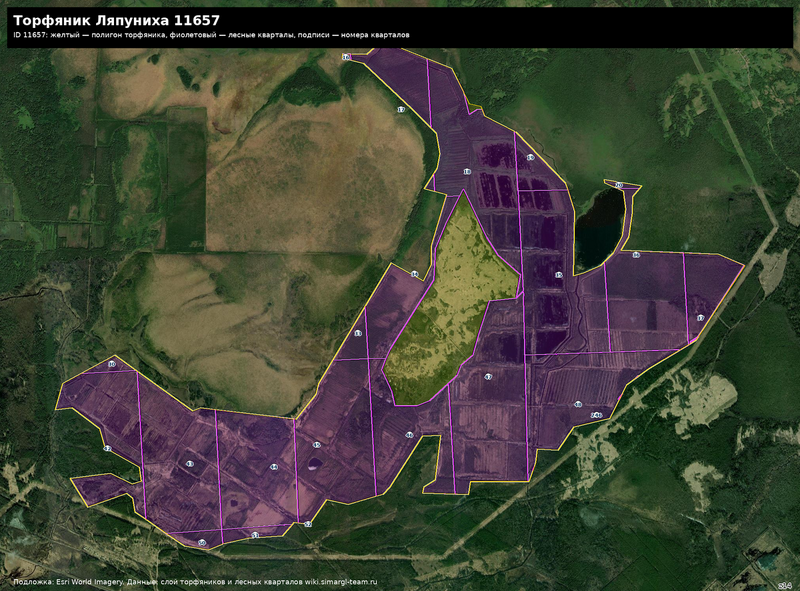 Файл:Peat 11657 satellite quarters.png